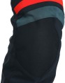 Spodnie Dainese CARVE MASTER 3 Gore-Tex