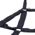 SOFT_BASE NH-SB_detal2_300dpi.png