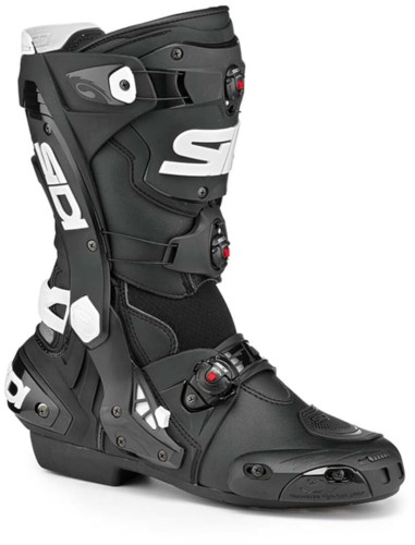 Sidi-Rex-1.jpg