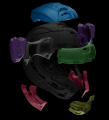 alpinestars-supertech-r10