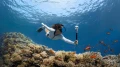 Insta360 X5 Essentials Bundle